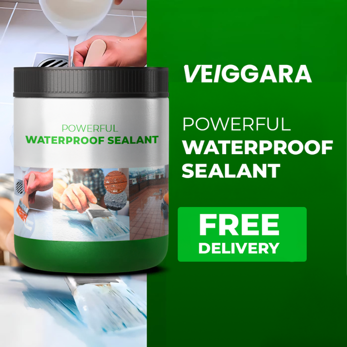 VEIGGARA |  High-performance sealant Waterproof